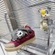 Bruno Sialelli sneakers