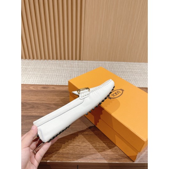 Tods Loafers