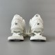 X-Pander Mesh Nylon Sneakers