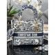 Lady-dior