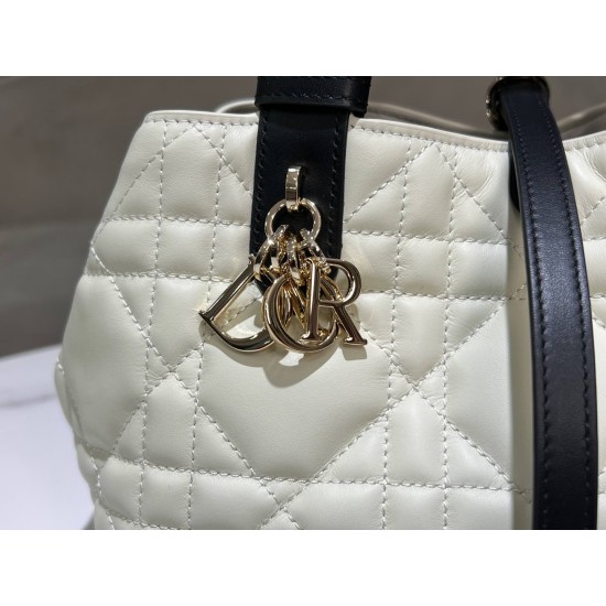 DIOR Toujours