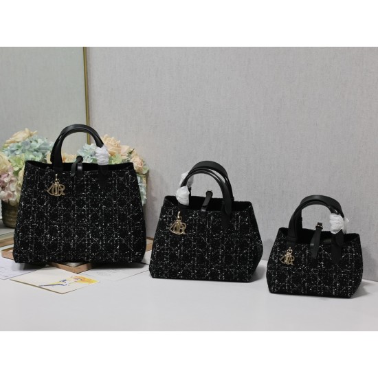 DIOR Toujours