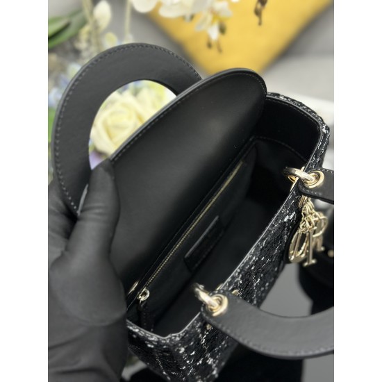 Lady-dior