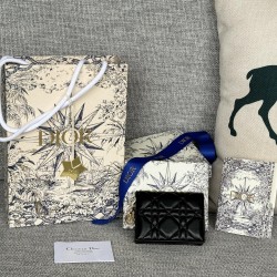 Lady-dior