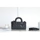 Lady-dior