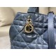 DIOR Toujours