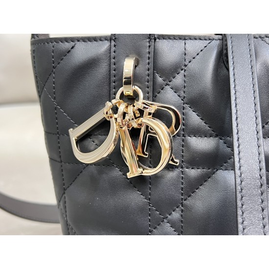 DIOR Toujours