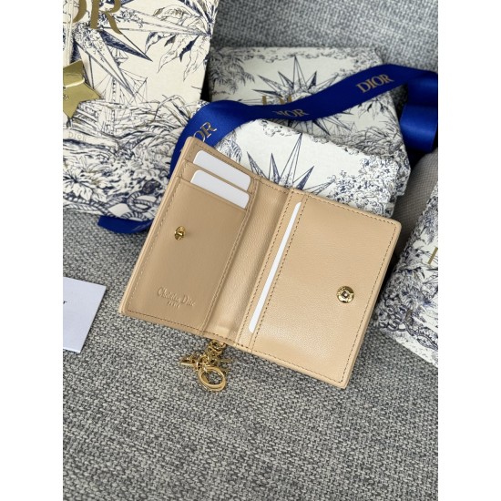 Lady-dior