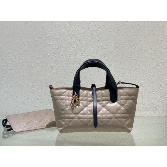 DIOR Toujours