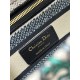 Lady-dior