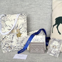 Lady-dior
