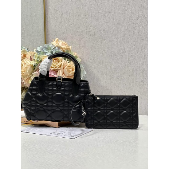 DIOR Toujours