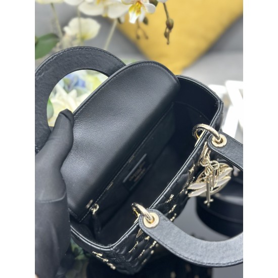 Lady-dior