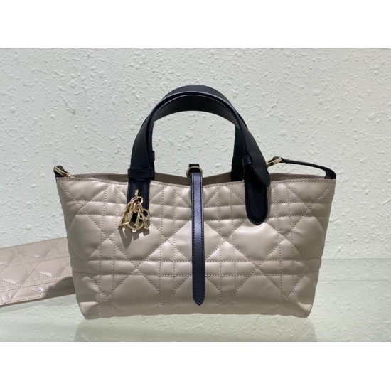 DIOR Toujours