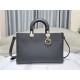 Lady-dior