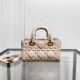 Lady-dior