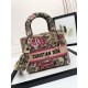 Lady-dior Lady-dior