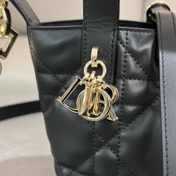 DIOR Toujours