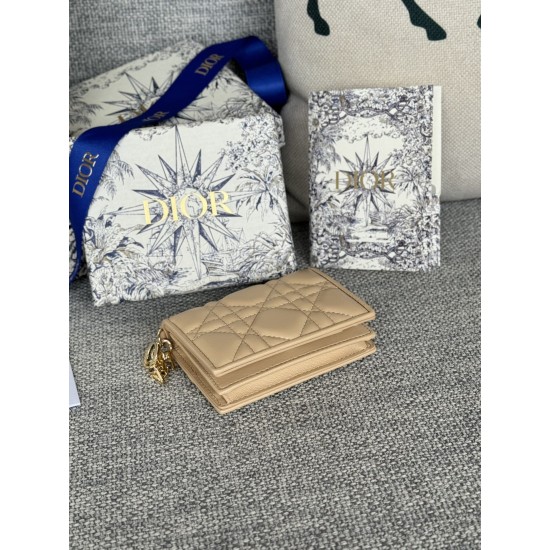 Lady-dior Lady-dior