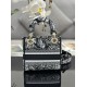 Lady-dior