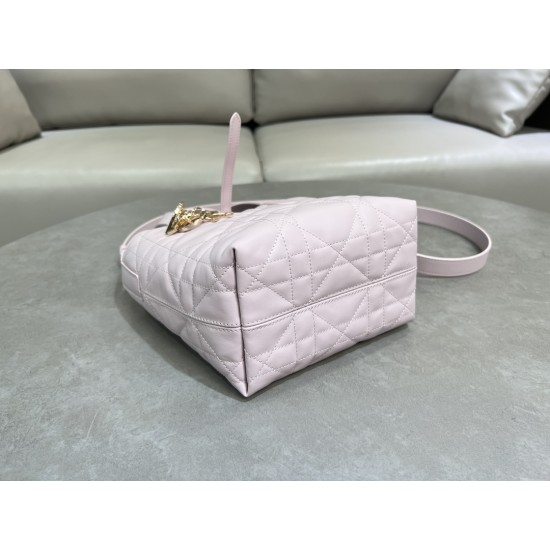 DIOR Toujours