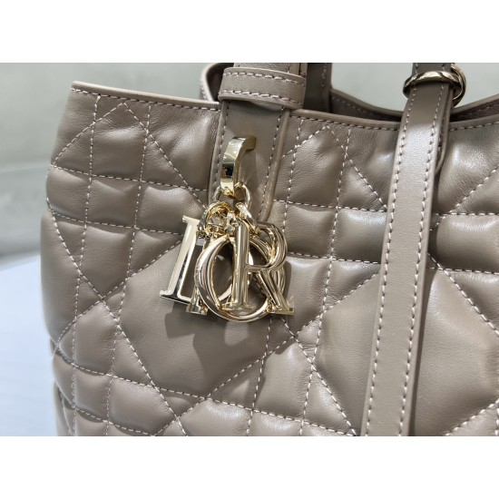 DIOR Toujours