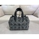 DIOR Toujours