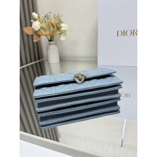 Lady-dior