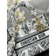 Lady-dior