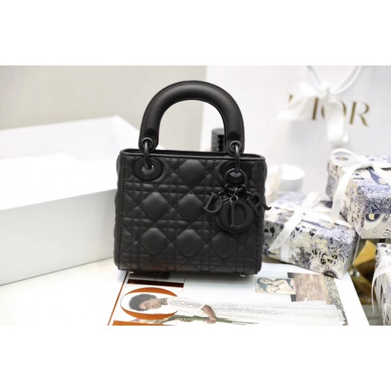 Lady-dior