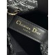 DIOR Toujours