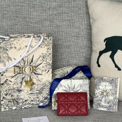 Lady-dior