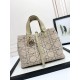 DIOR Toujours