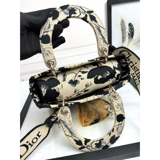 Lady-dior Lady-dior