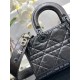 Lady-dior