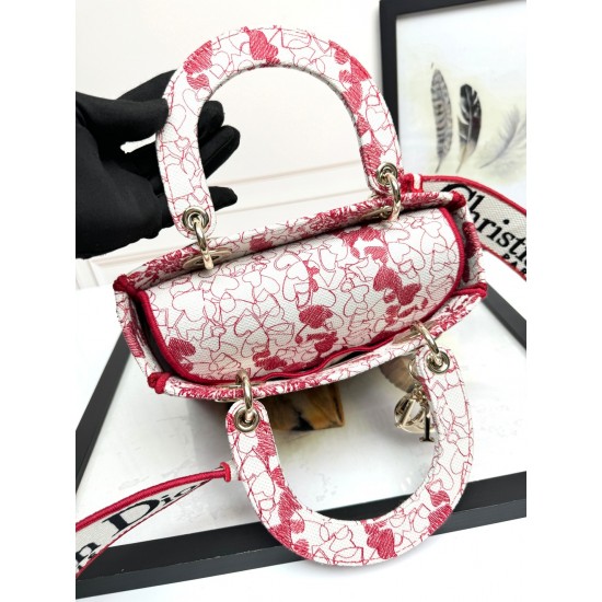 Lady-dior Lady-dior