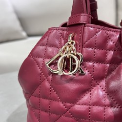 DIOR Toujours