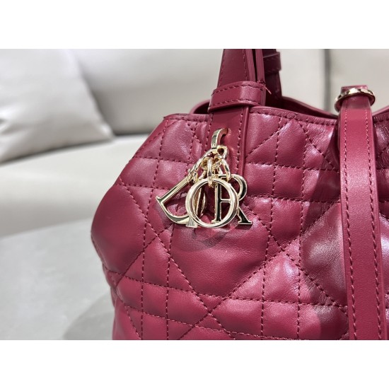 DIOR Toujours
