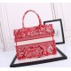 Lady-dior