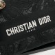 Lady-dior Lady-dior