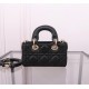 Lady-dior