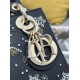 Lady-dior