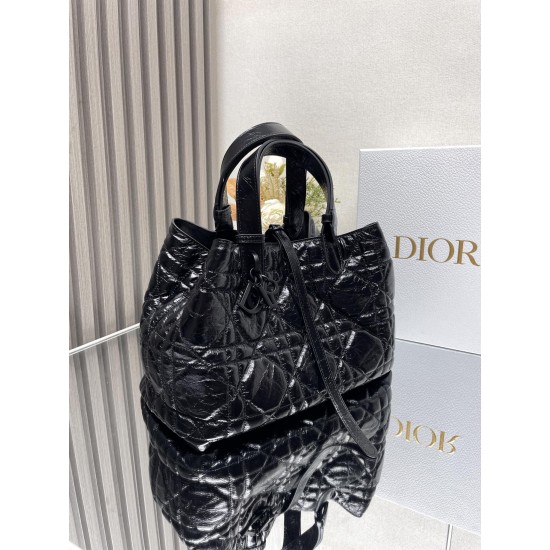 DIOR Toujours