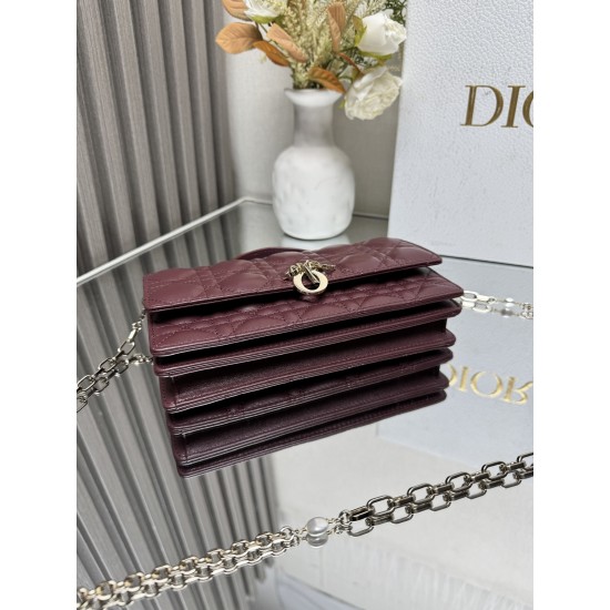 Lady-dior