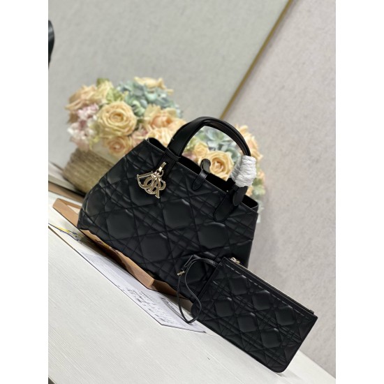 DIOR Toujours