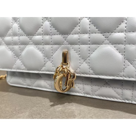 Lady-dior