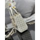 Lady-dior