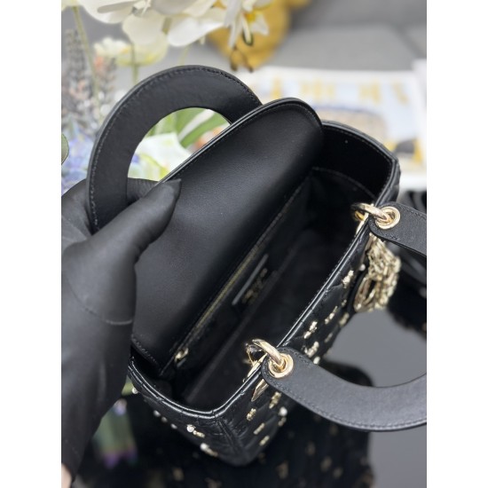 Lady-dior
