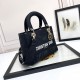 Lady-dior Lady-dior