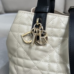 DIOR Toujours